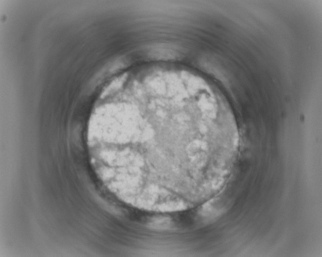 X0000082710162200702232305