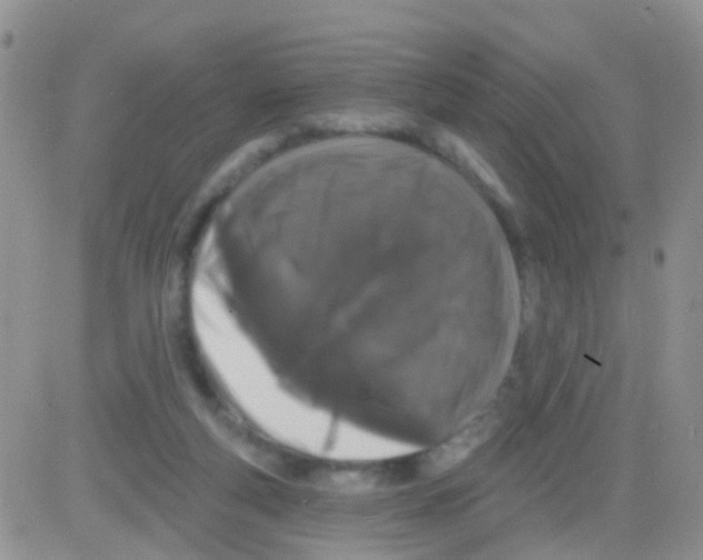 X0000082710163200702232305