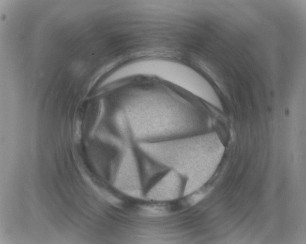 X0000082710164200702232305