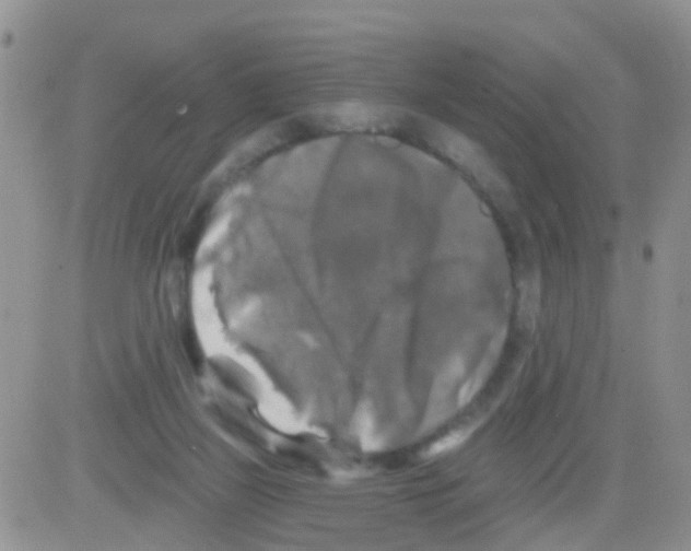 X0000082710165200702232305