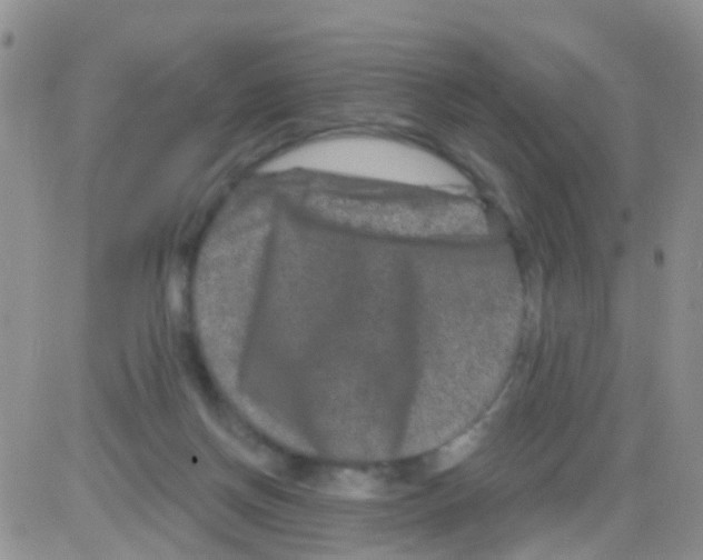 X0000082710166200702232305