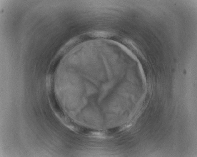 X0000082710167200702232305