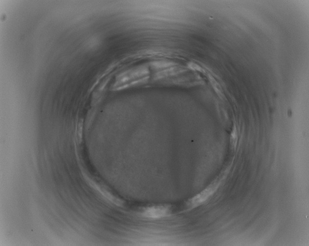 X0000082710168200702232305