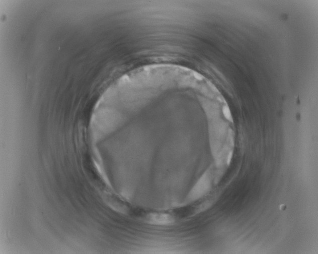 X0000082710169200702232305