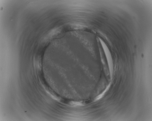 X0000082710170200702232305