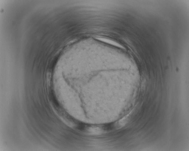 X0000082710171200702232305