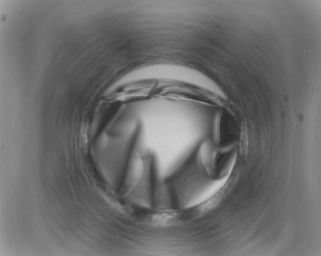 X0000082710172200702232305