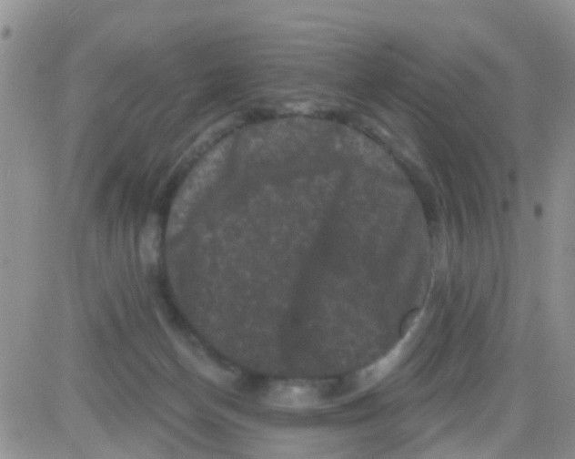 X0000082710174200702232305