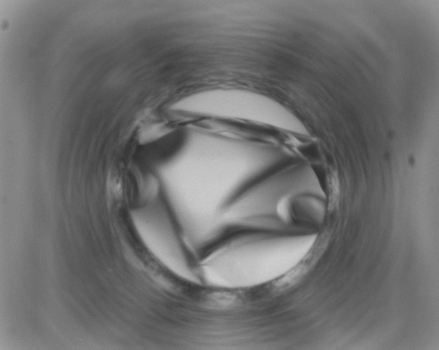 X0000082710176200702232305