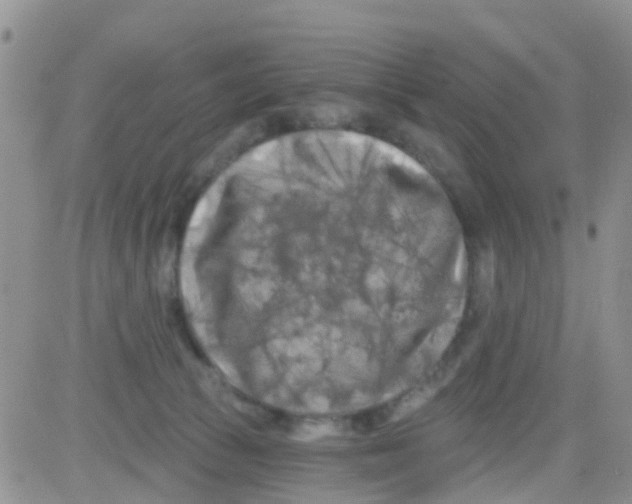 X0000082710177200702232305