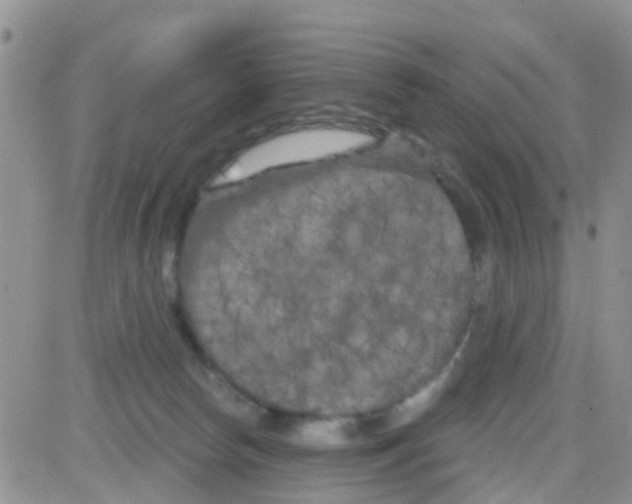 X0000082710178200702232305