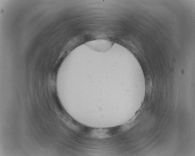 X0000082710179200702232305