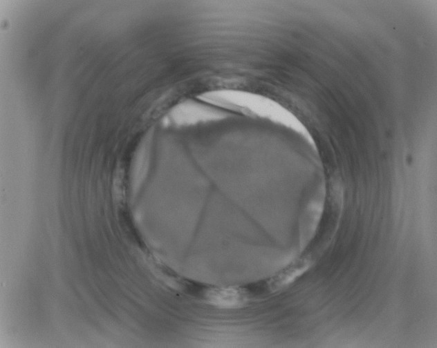 X0000082710181200702232305