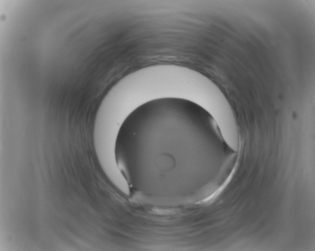 X0000082710190200702232305