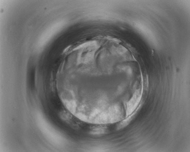 X0000082710191200702232305