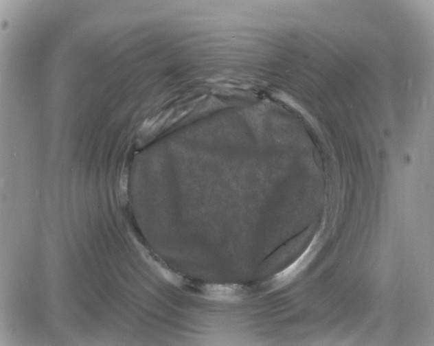 X0000082710192200702232305