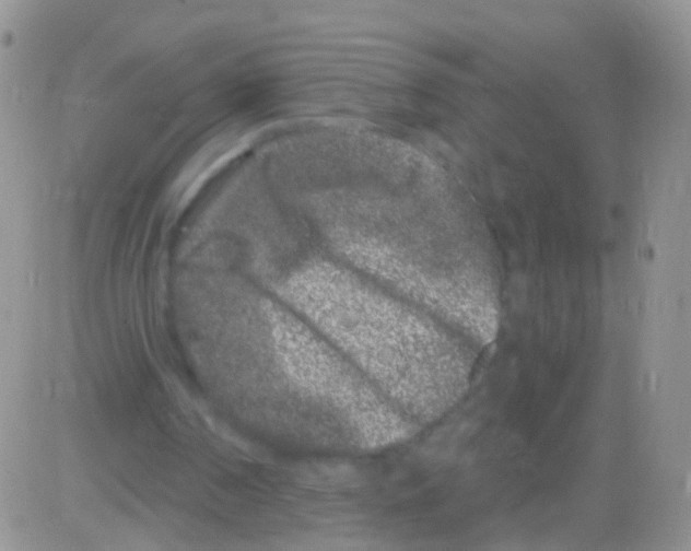 X0000082710194200702232304