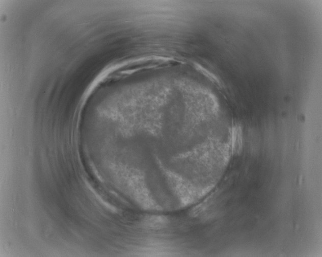 X0000082710195200702232304