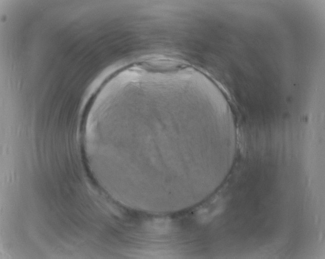 X0000082710196200702232304