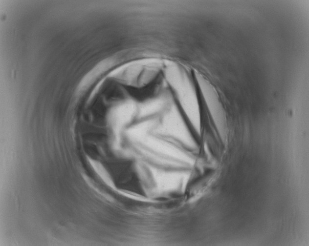 X0000082710197200702232304