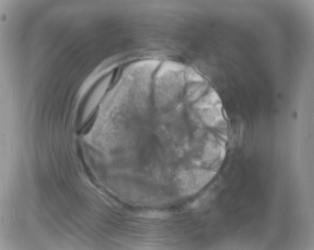 X0000082710198200702232304