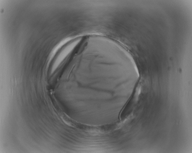 X0000082710200200702232304