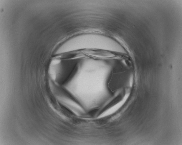 X0000082710201200702232304