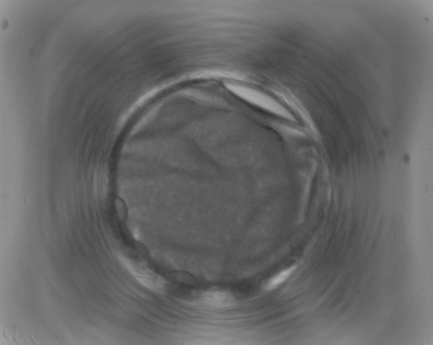 X0000082710204200702232304