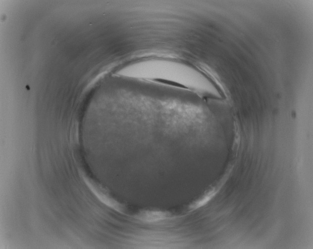 X0000082710205200702232304