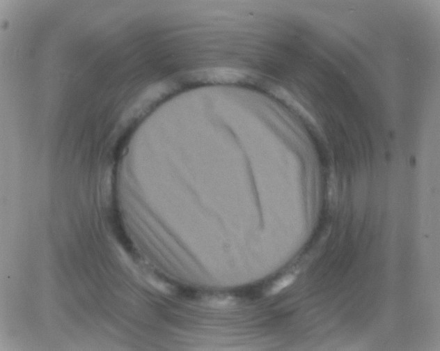 X0000082710206200702232304