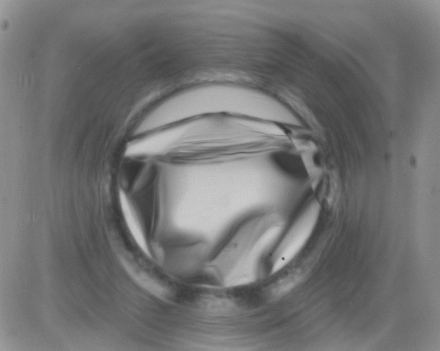 X0000082710207200702232304