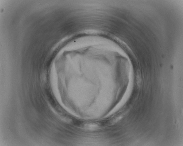 X0000082710208200702232304