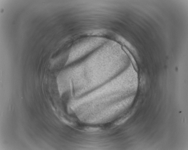 X0000082710209200702232304