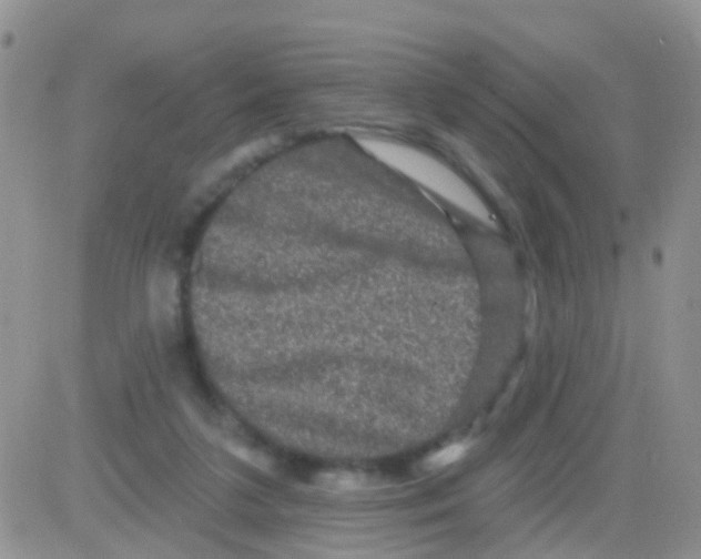 X0000082710211200702232304