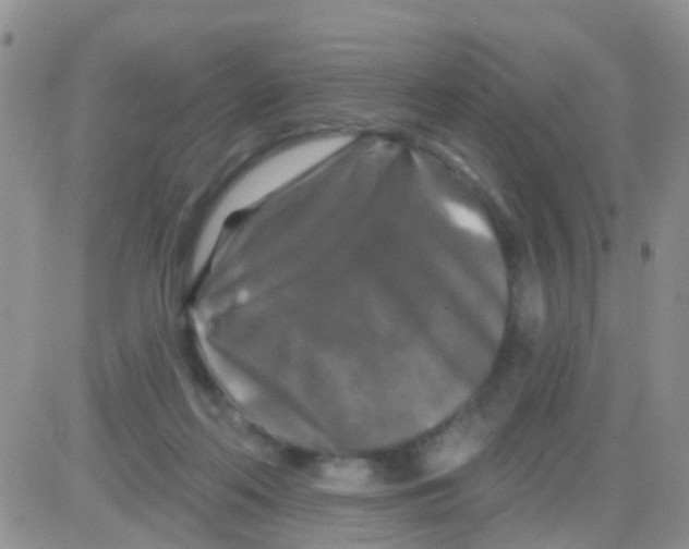 X0000082710214200702232304