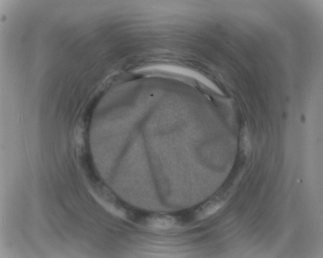 X0000082710215200702232304