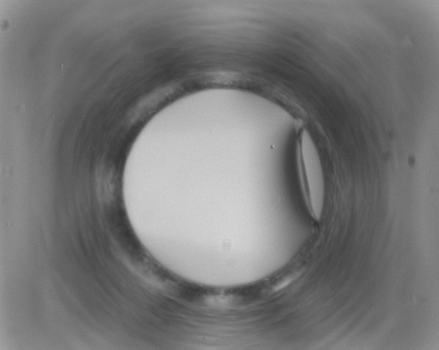 X0000082710216200702232304