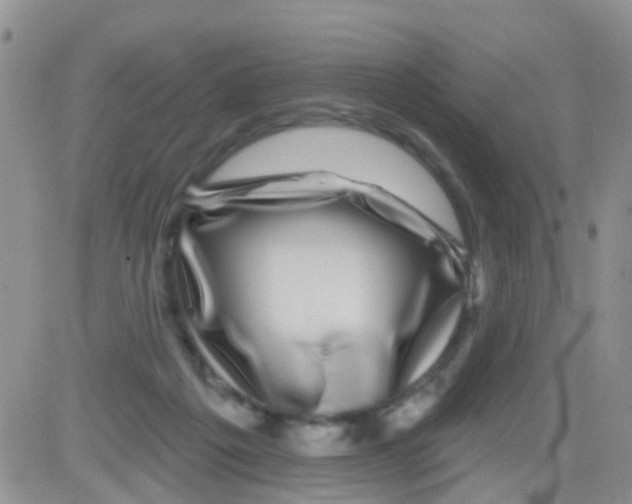 X0000082710217200702232304