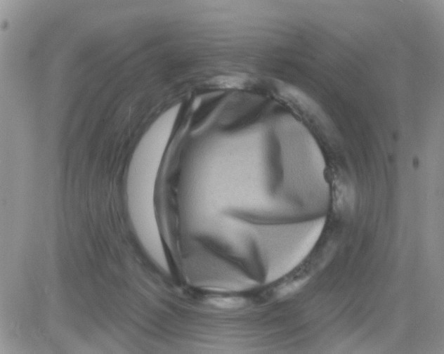 X0000082710221200702232304