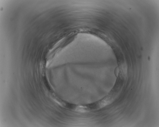 X0000082710222200702232304