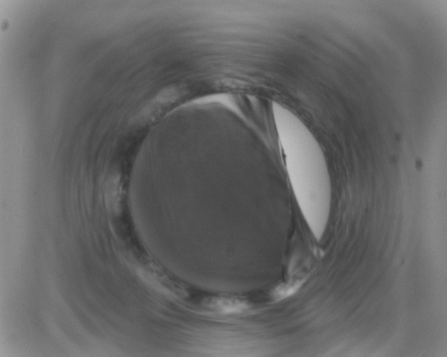 X0000082710223200702232304