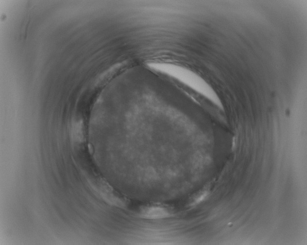 X0000082710224200702232304