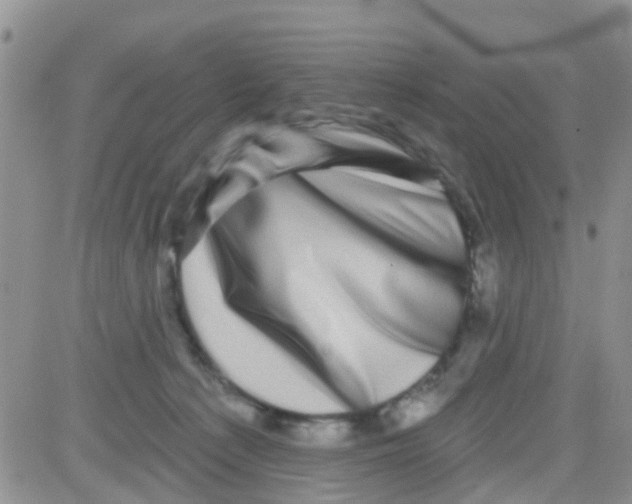 X0000082710225200702232304