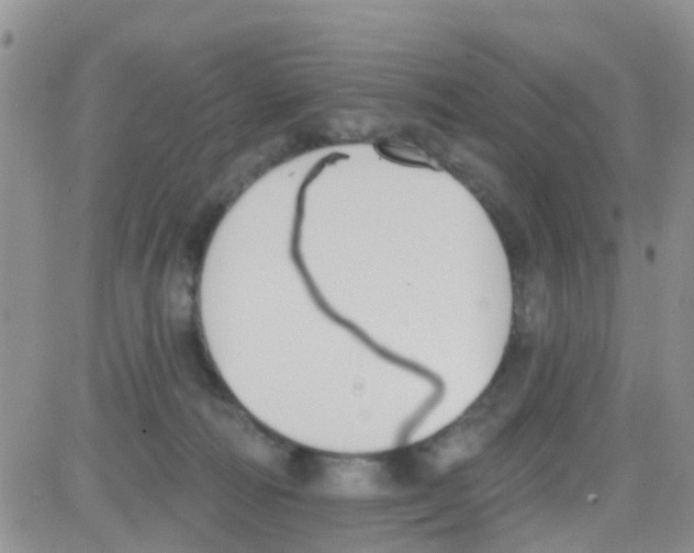 X0000082710226200702232304