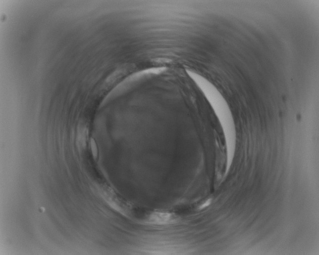 X0000082710227200702232304