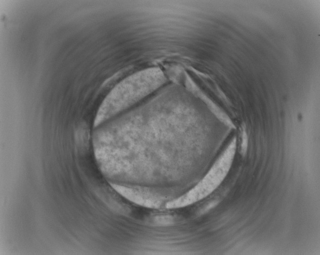 X0000082710228200702232304