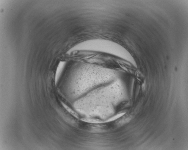 X0000082710229200702232304