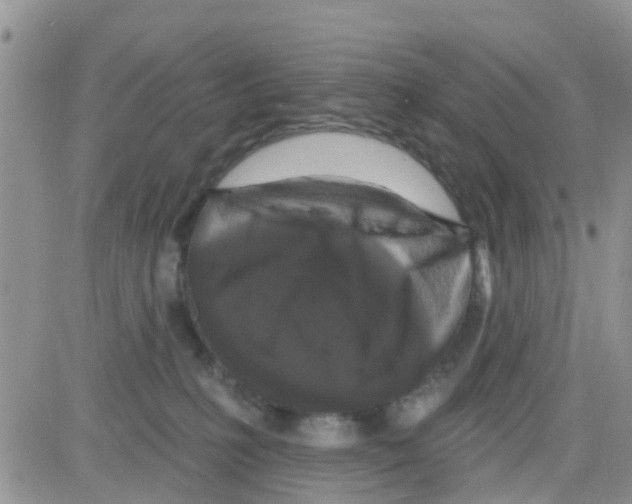 X0000082710231200702232304