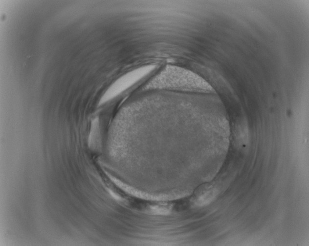 X0000082710232200702232304