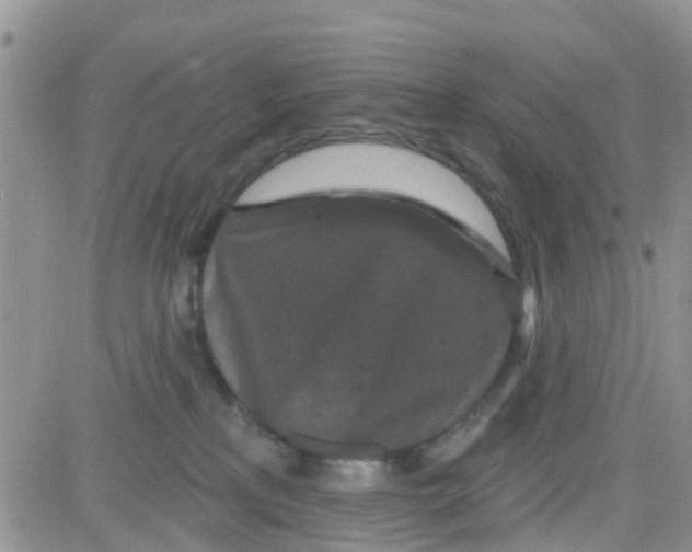 X0000082710233200702232304